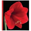 Klasický fotoalbum Botanics 29x32/100s. červený